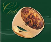 Купить кольцо  &quot;Nina Ricci&quot; 506848/0 золото 750° www.goldmaster.in.ua